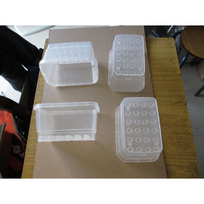 Single shot injection molding/Plant seed Box/material PP HP-740T/ Natural/ Polish surface